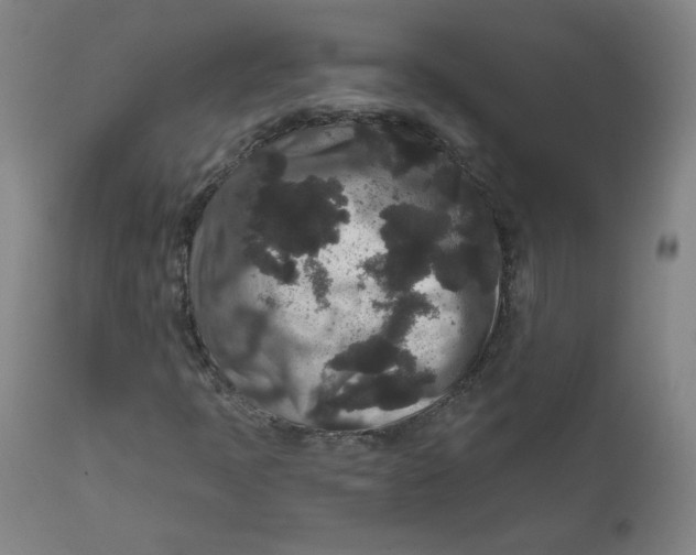 X0000111641397200908071331