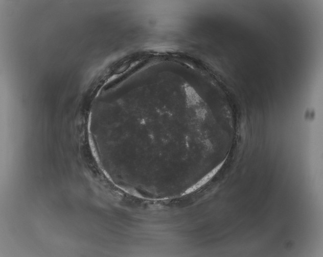 X0000111641398200908071331