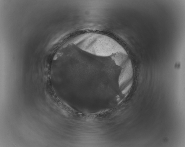 X0000111641399200908071331