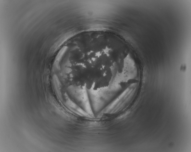 X0000111641401200908071331