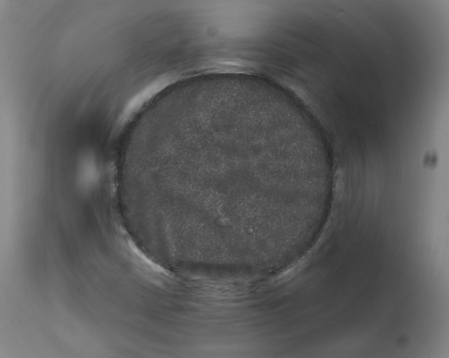 X0000111641402200908071331