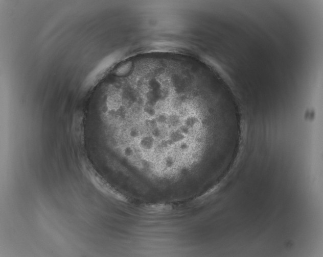 X0000111641403200908071331