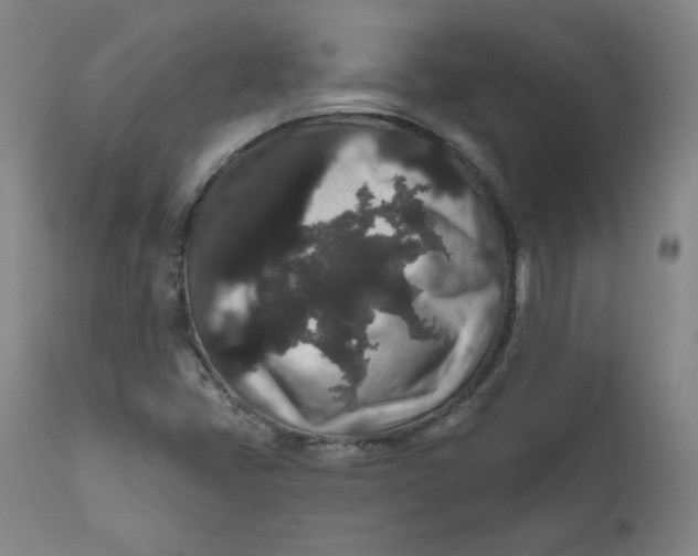 X0000111641405200908071331