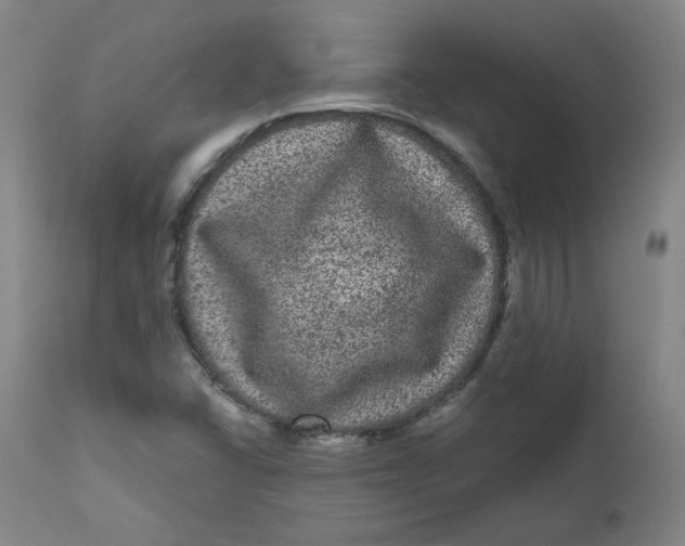 X0000111641406200908071331