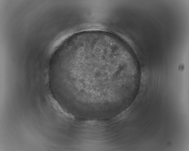 X0000111641407200908071331