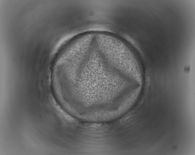 X0000111641408200908071331