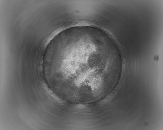 X0000111641409200908071331