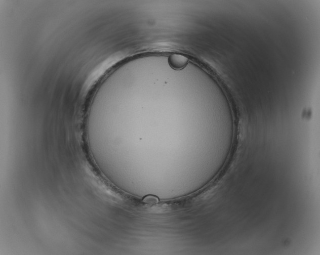 X0000111641410200908071331