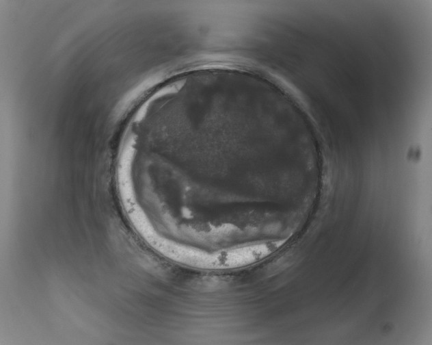 X0000111641411200908071331