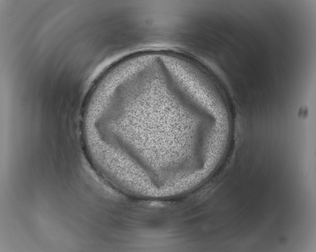 X0000111641412200908071331