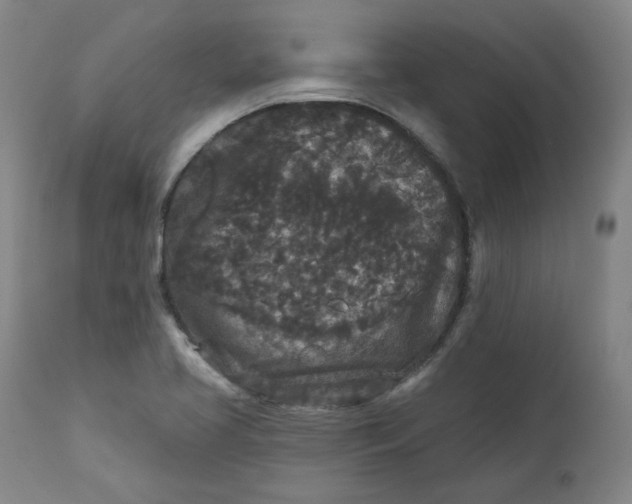 X0000111641413200908071331