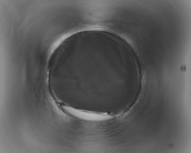 X0000111641414200908071331