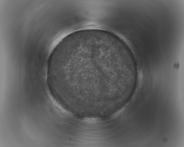 X0000111641415200908071331