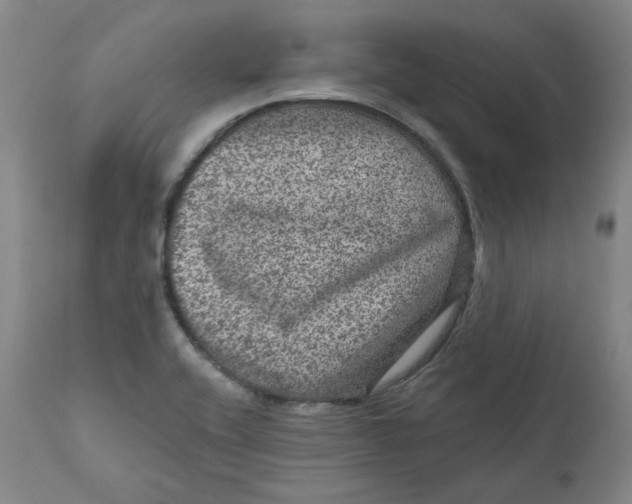 X0000111641416200908071331