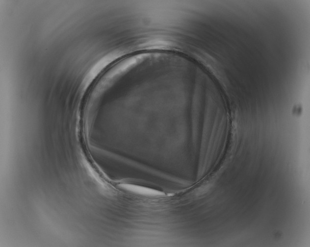 X0000111641418200908071331