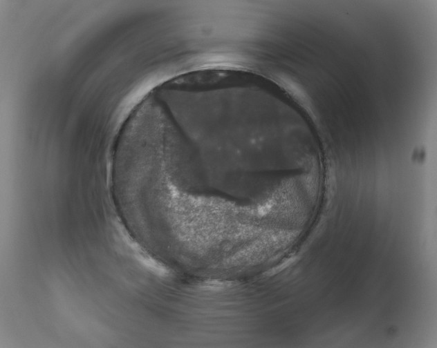 X0000111641419200908071331