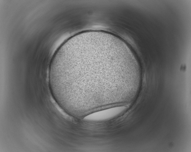 X0000111641420200908071331