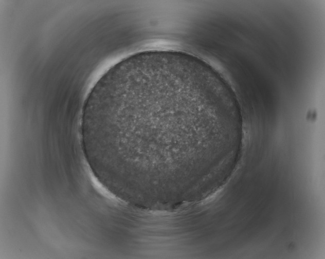 X0000111641421200908071331