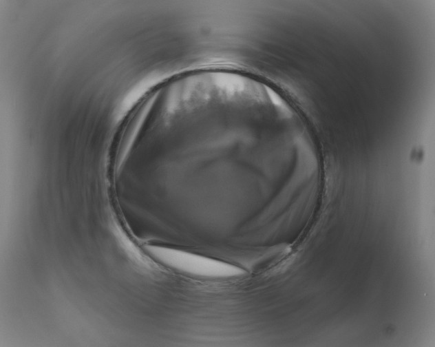 X0000111641422200908071331