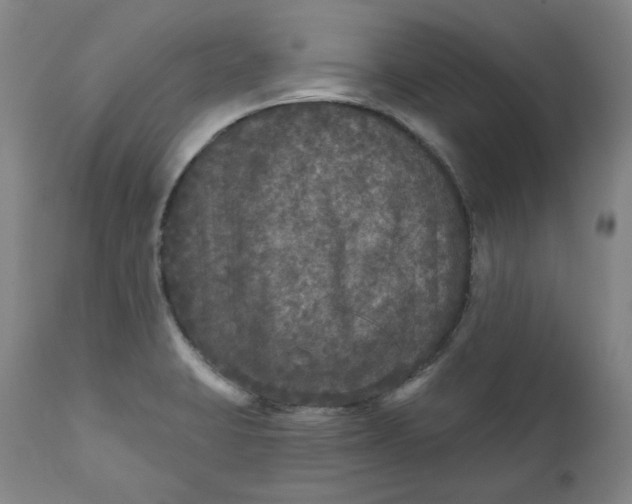 X0000111641423200908071331