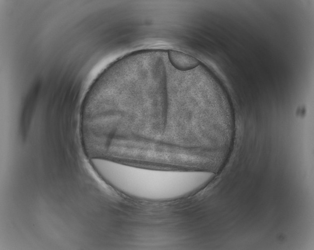 X0000111641424200908071331