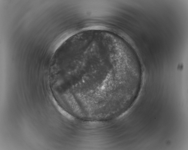 X0000111641425200908071331