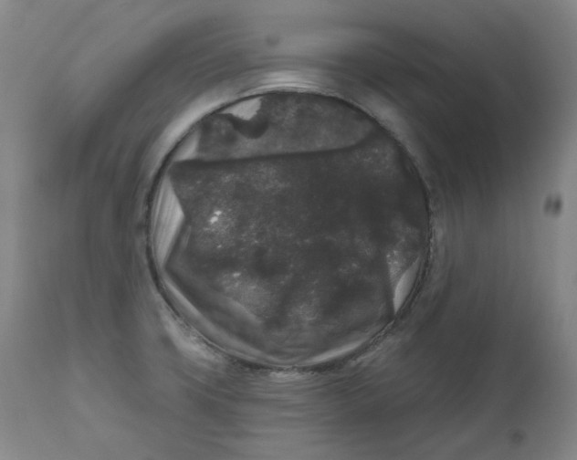 X0000111641427200908071331