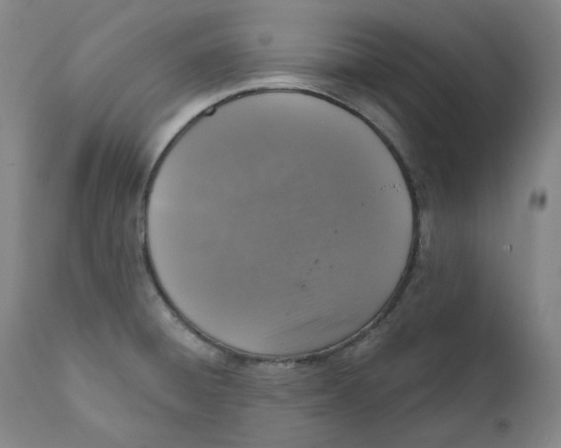 X0000111641428200908071331