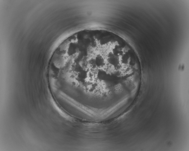 X0000111641429200908071331