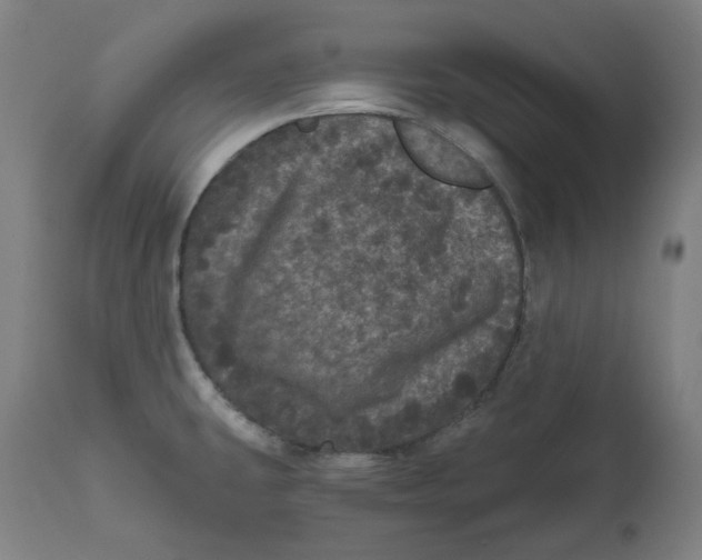 X0000111641431200908071331