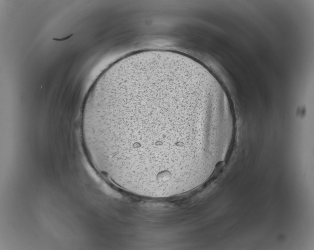 X0000111641432200908071331