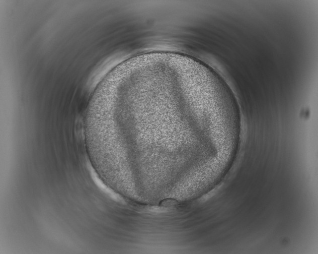 X0000111641433200908071331