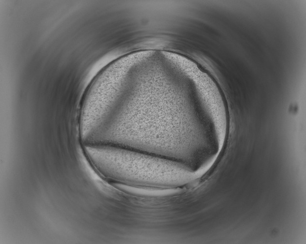 X0000111641434200908071331