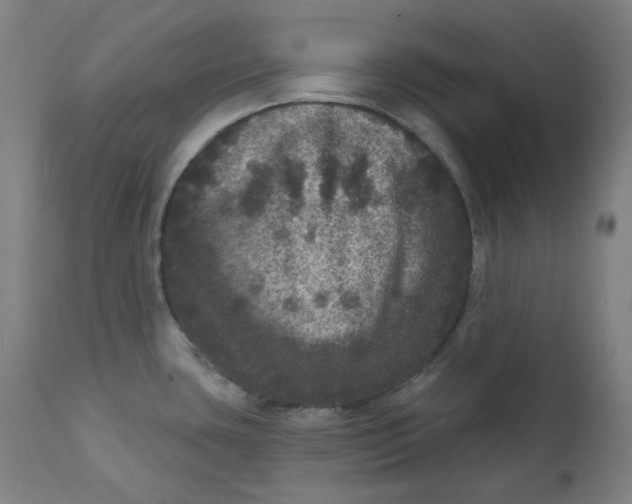 X0000111641435200908071331