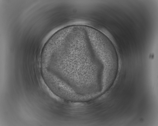 X0000111641436200908071331