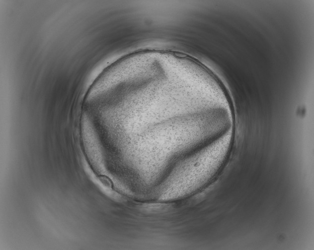 X0000111641437200908071331