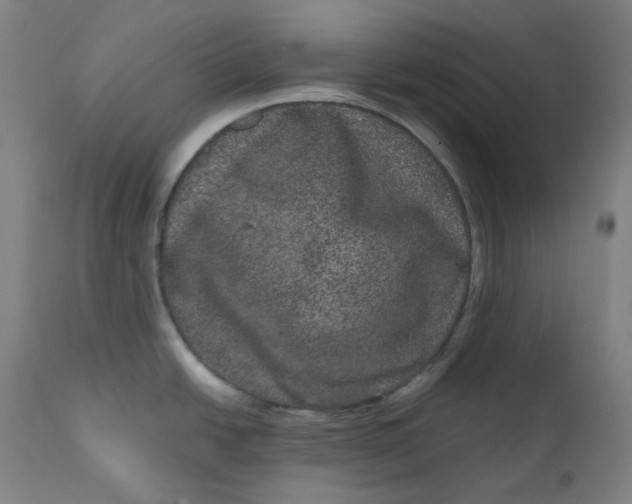 X0000111641438200908071331