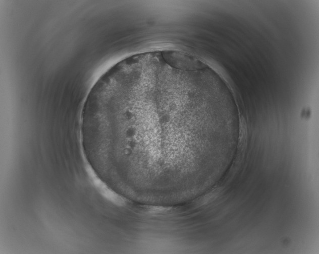 X0000111641439200908071331