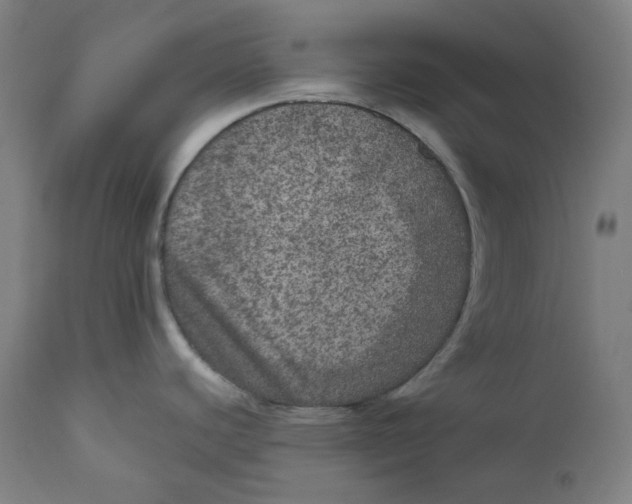 X0000111641440200908071331