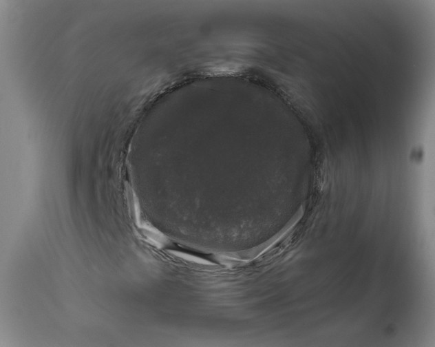 X0000111641441200908071330