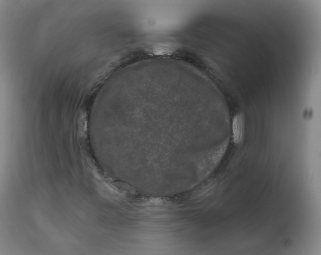 X0000111641443200908071330