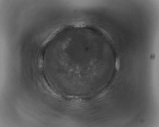 X0000111641444200908071330