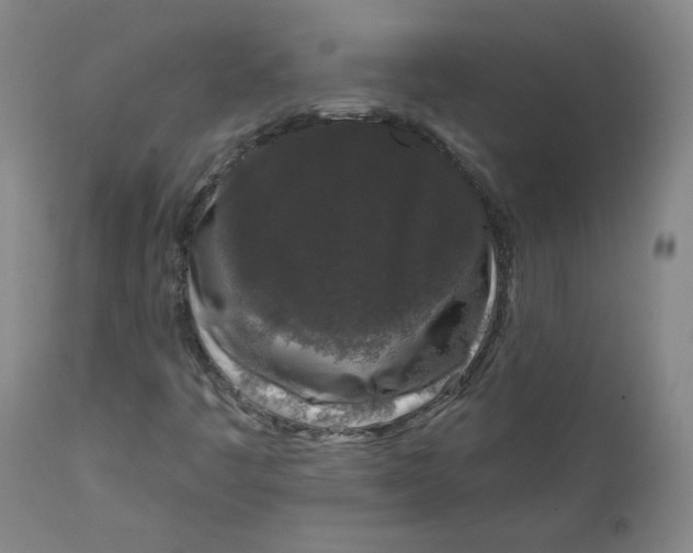 X0000111641445200908071330