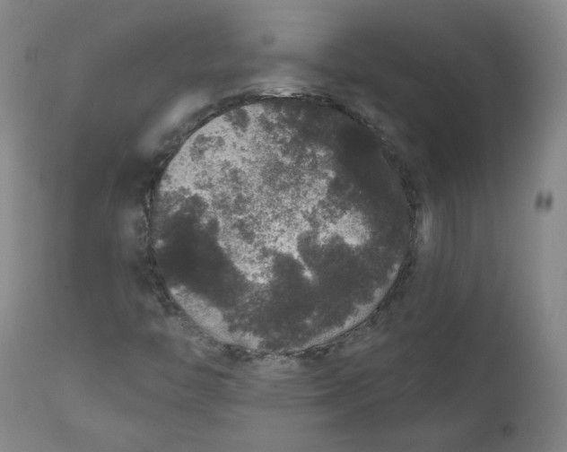 X0000111641446200908071330