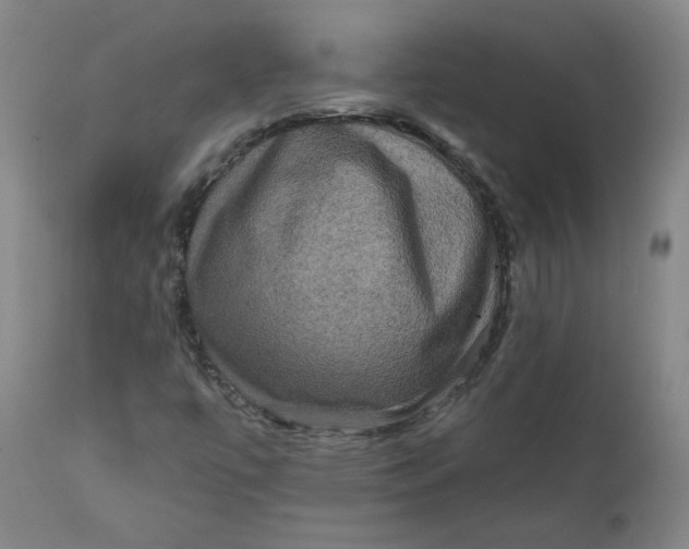 X0000111641447200908071330