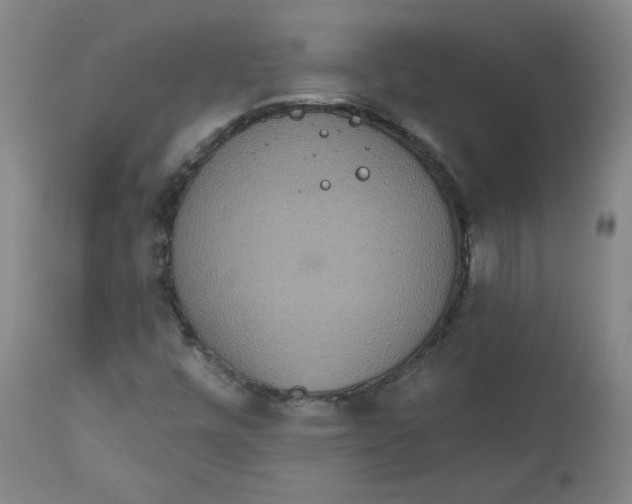 X0000111641448200908071330