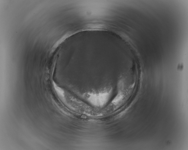 X0000111641449200908071330