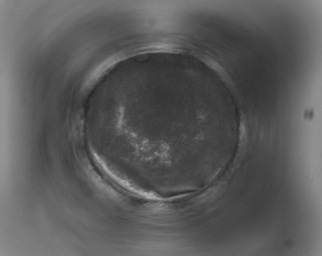 X0000111641450200908071330