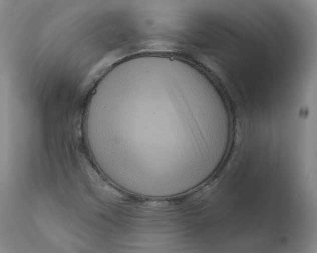 X0000111641451200908071330