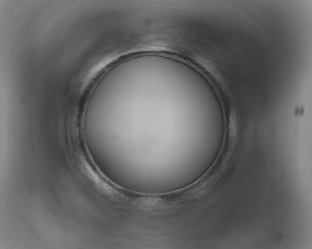 X0000111641452200908071330